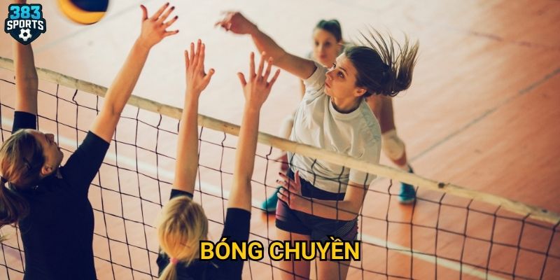 Tại sao bóng chuyền 383sports thu hút đông đảo bet thủ?