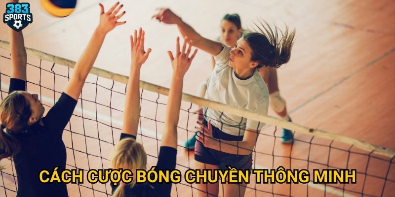 Cách cược bóng chuyền thông minh
