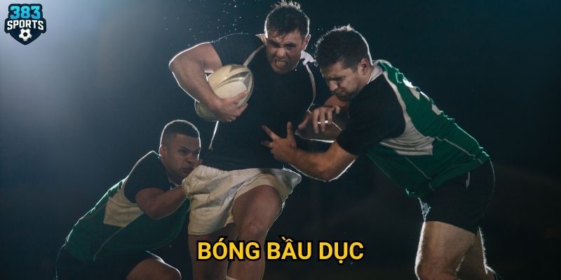 Bóng bầu dục 383sports có gì để thu hút người chơi Việt?