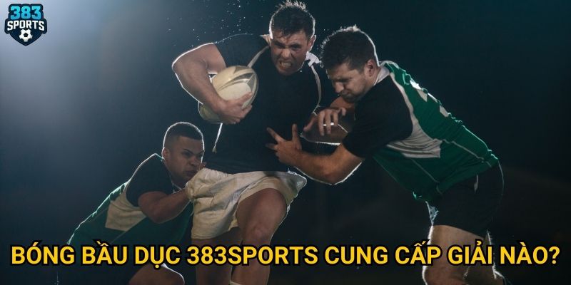 Bóng bầu dục 383sports cung cấp giải nào?