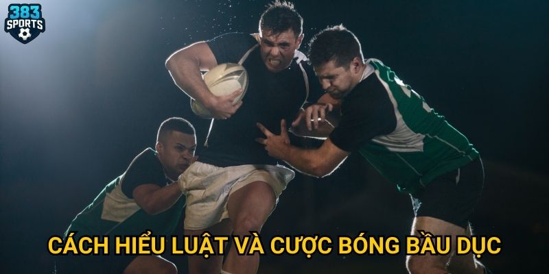 Cách hiểu luật và cược bóng bầu dục