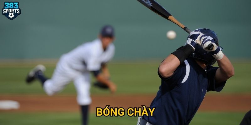 Bóng chày 383sports có điểm gì nổi bật cho người mới?