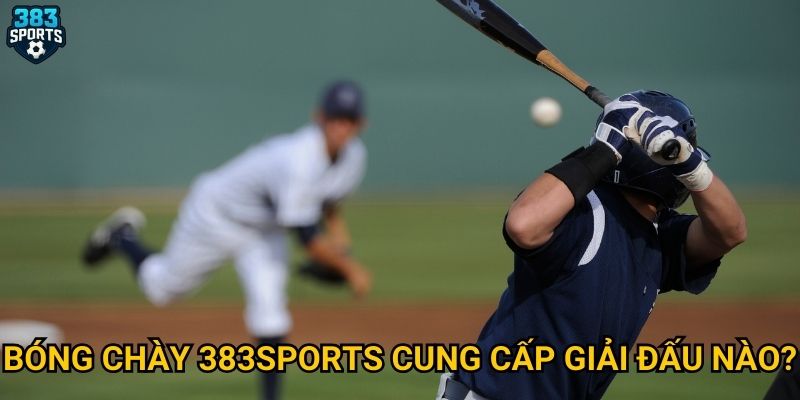 Bóng chày 383sports cung cấp giải đấu nào?