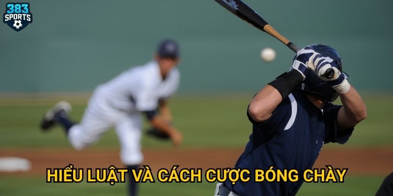 Hiểu luật và cách cược bóng chày