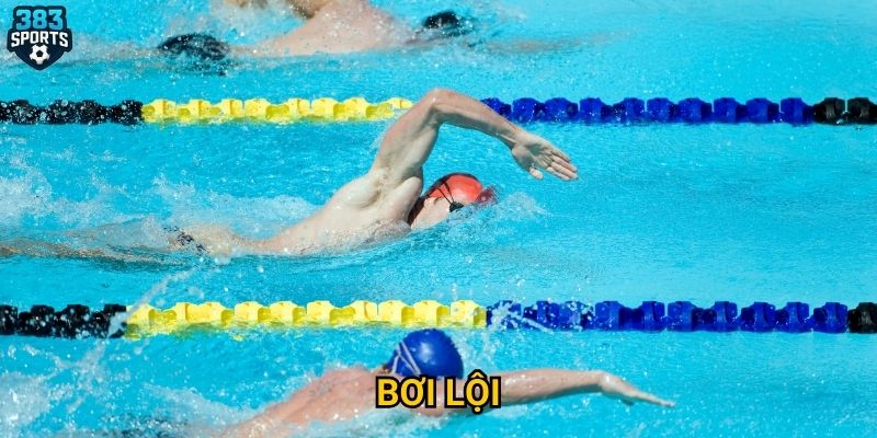Bơi lội tại 383sports có gì đặc biệt trong mùa Olympic?