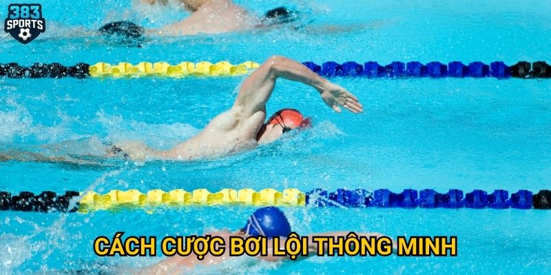 Cách cược bơi lội thông minh