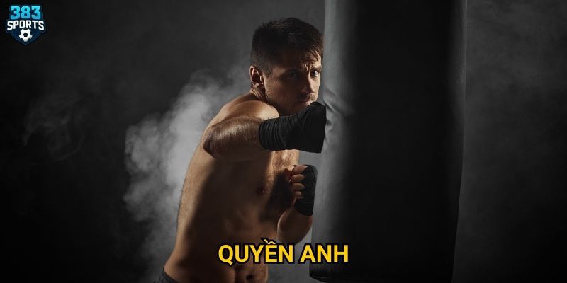 Quyền anh 383sports