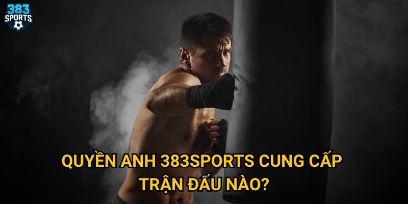 Quyền anh 383sports cung cấp trận đấu nào?